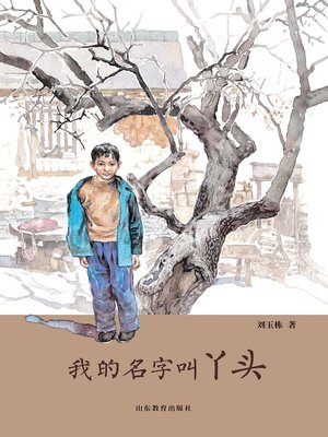 cover image of 我的名字叫丫头